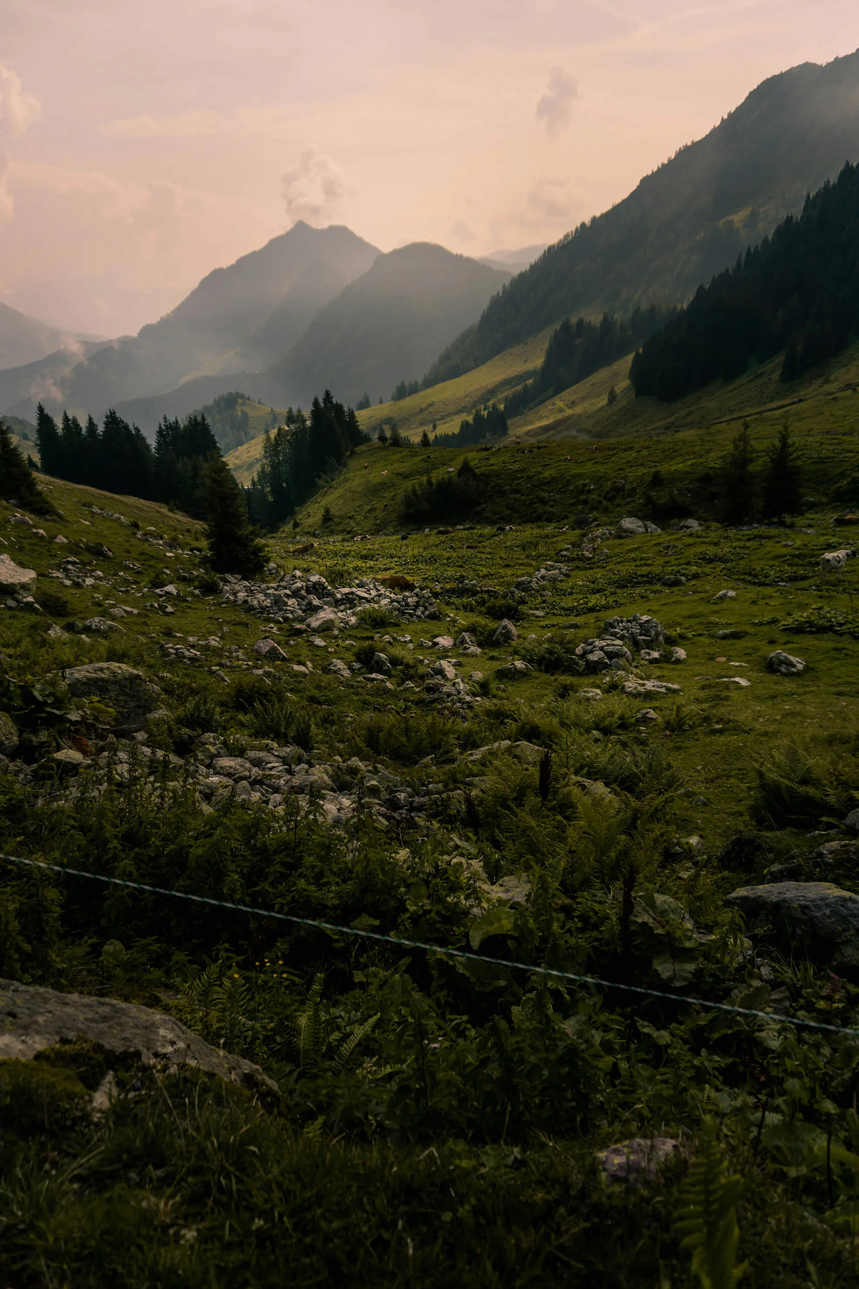 Wandern auf gr&uuml;nen Wiesen mit Panoramablick auf die Alpen &ndash; aktiver Natururlaub in Flachauwinkl, &Ouml;sterreich
