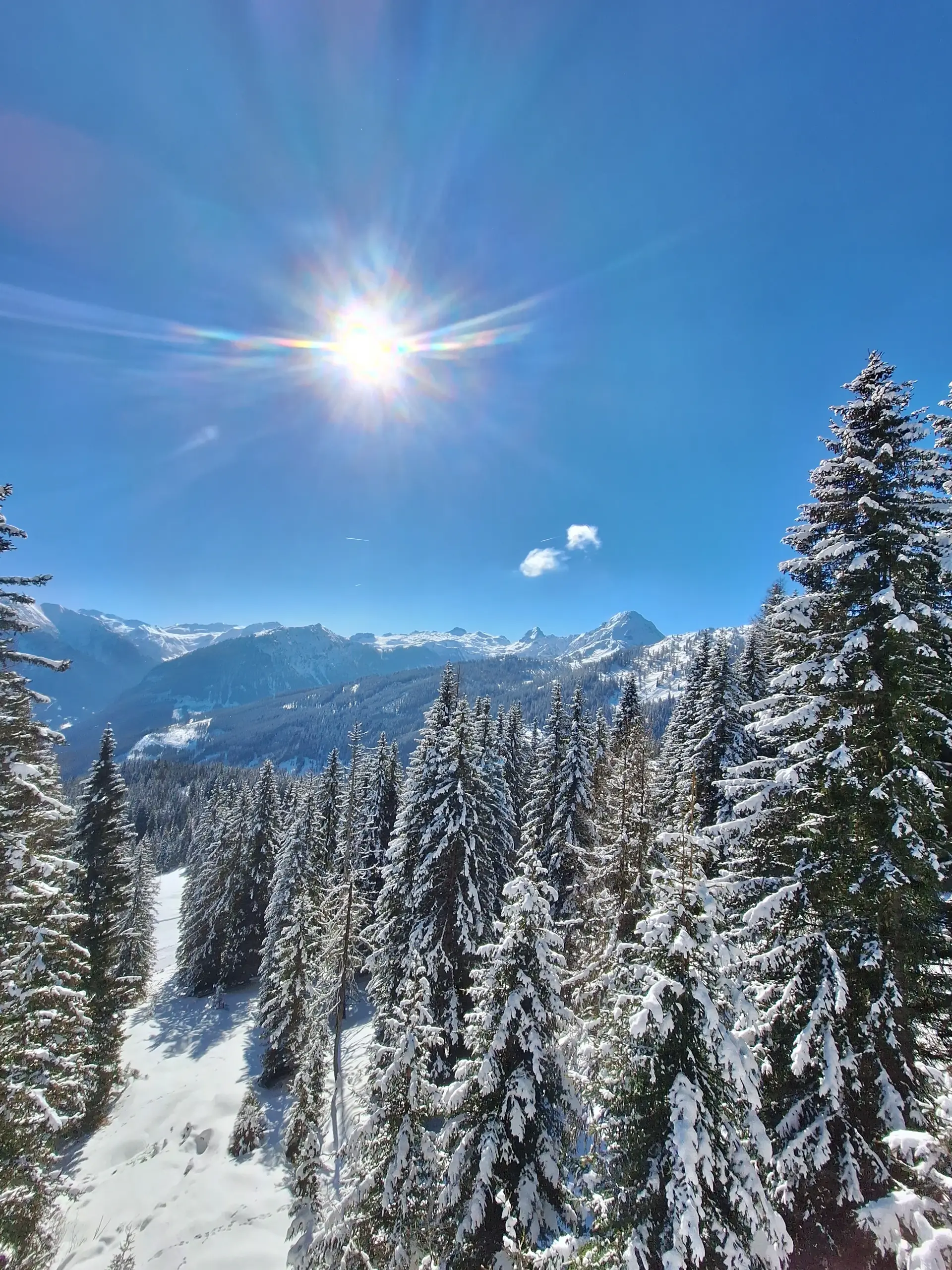 Winterlandschaft mit schneebedeckten Bäumen und strahlender Sonne am blauen Himmel.