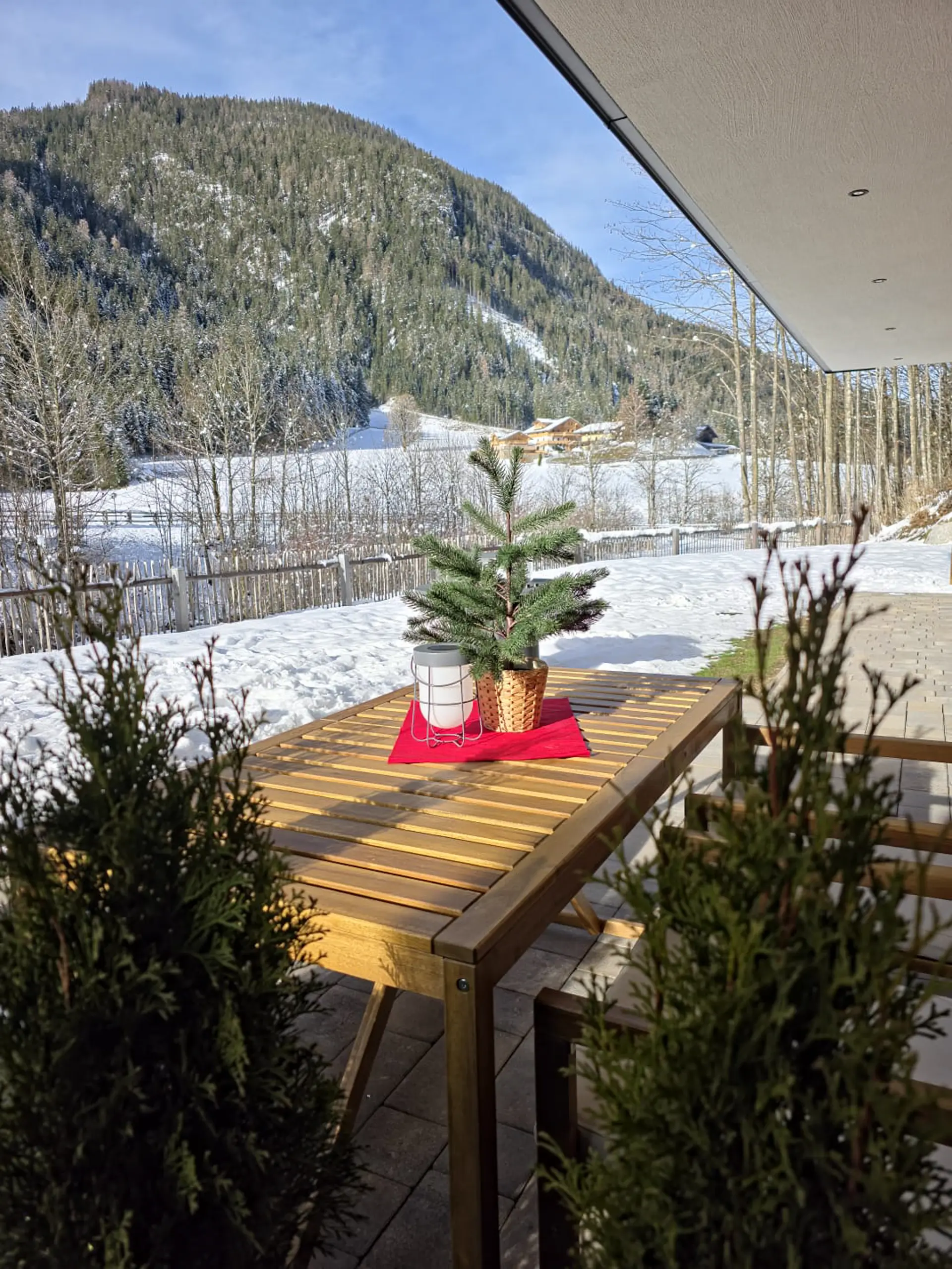 Kleiner Weihnachtsbaum auf Holztisch mit verschneiter Berglandschaft im Hintergrund.